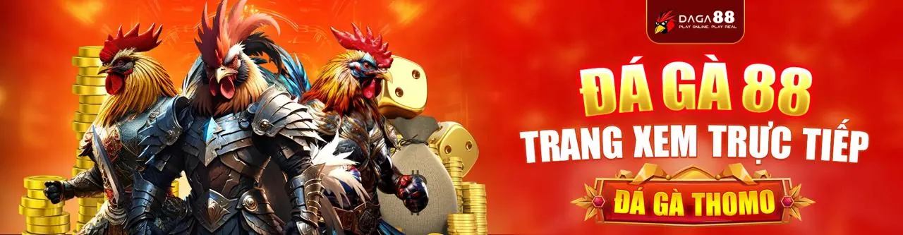 Đá gà trực tuyến 8xx app
